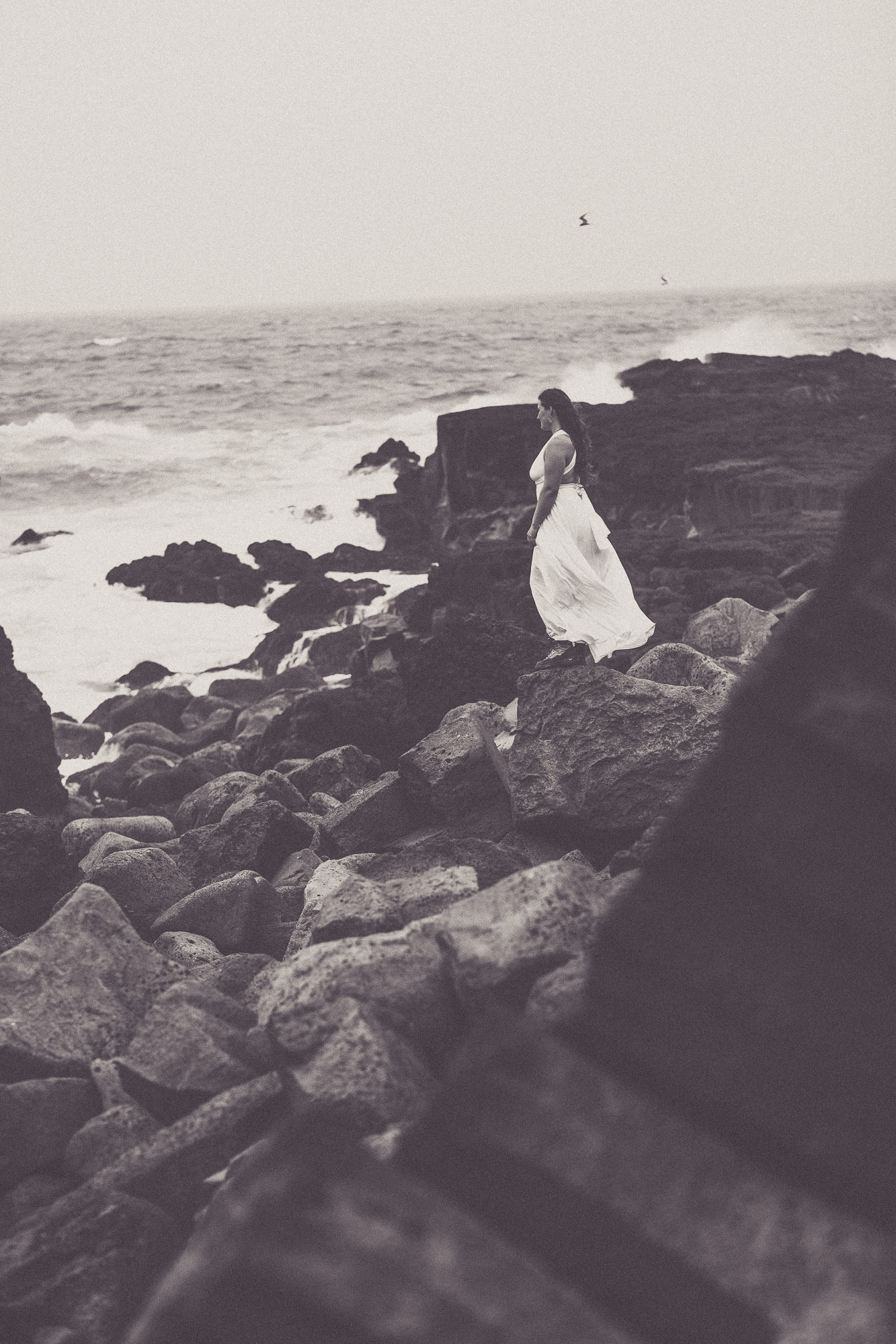 Export x3 5D4 8374 Victoria @ Reykanesviti